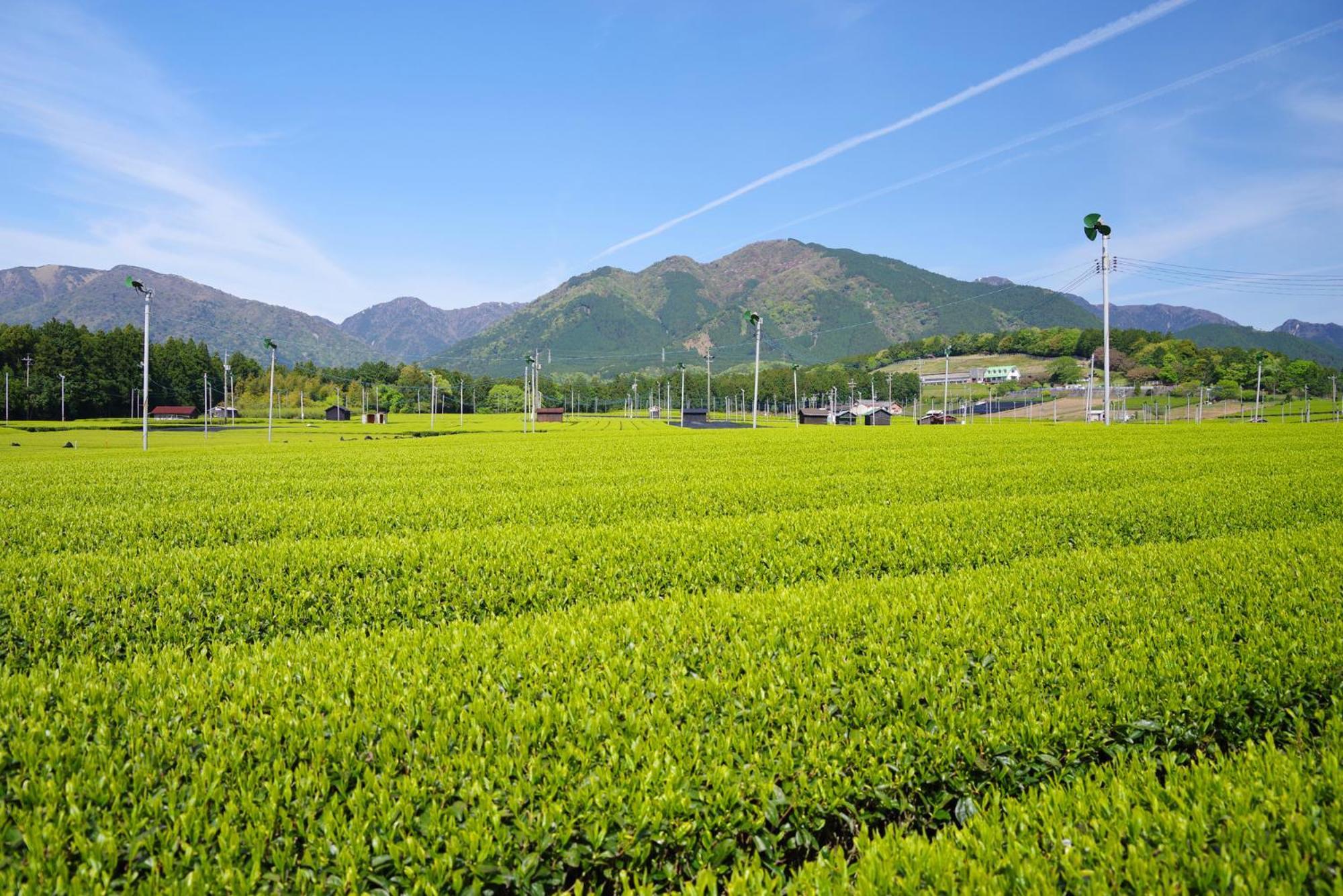 OYO旅馆-Miya宮四日市水泽 Suizawa 外观 照片