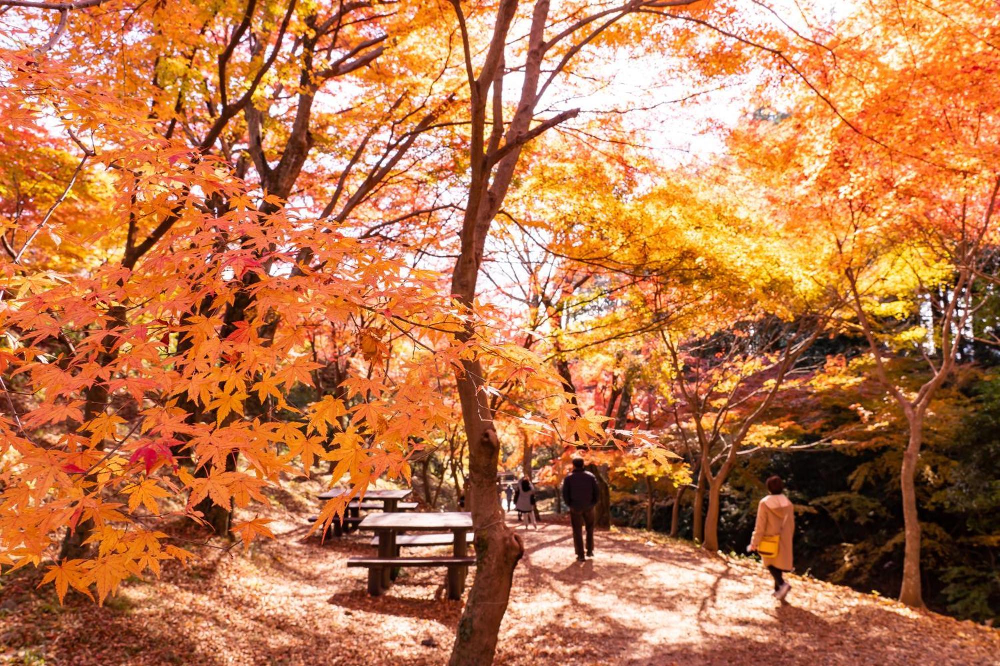 OYO旅馆-Miya宮四日市水泽 Suizawa 外观 照片